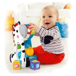 Fisher Price Cebra Bloques De Actividades Juguete Bebe (Entrega Inmediata)