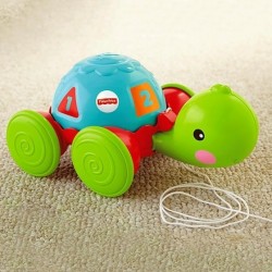 Fisher Price Tortuga De Aprendizaje Entrega Inmediata (Entrega Inmediata)
