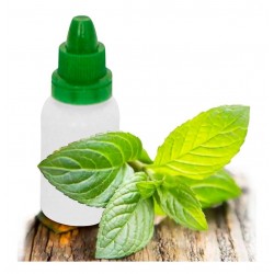 Esencias Fragancias Difusor Pebetero Varios Aromas 25 Cm3 (Entrega Inmediata)