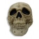 Calavera Cráneo Pirata Decoración Halloween (Entrega Inmediata)