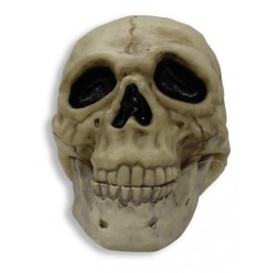 Calavera Cráneo Pirata Decoración Halloween (Entrega Inmediata)