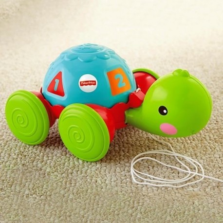 Fisher Price Tortuga De Aprendizaje Entrega Inmediata (Entrega Inmediata)