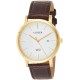 Reloj Citizen BI5072-01A Hombre Gold Leather Japanese Quartz (Importación USA)