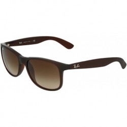 Gafas Ray-Ban RB4202 Andy Matte Brown/Brown Gradient 55mm