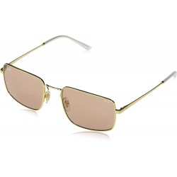 Gafas Ray-Ban Rb3669 Evolve Rectangular
