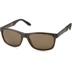 Gafas Carrera 8021/S Havana / Bronze Polarized 56