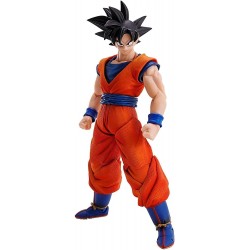 Figura Bandai TAMASHII NATIONS Son Goku Dragon Ball Z Imagination Works