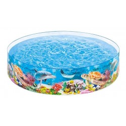 Piscina Rígida Intex 244 X 46cm Fácil De Armar (Entrega Inmediata)