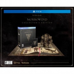 Videojuego The Elder Scrolls Online: Morrowind - PlayStation 4 Collector's Edition