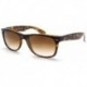 Ray-Ban womens Rb2132 New Wayfarer sunglasses, Light Havana Frame Brown Gradient Lens 710/51, Medium US