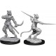 D&D Nolzurs Marvelous Unpainted Miniatures: Wave 7: Male Tabaxi Rogue