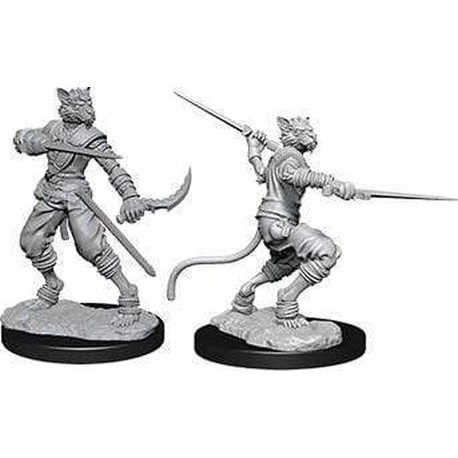 D&D Nolzurs Marvelous Unpainted Miniatures: Wave 7: Male Tabaxi Rogue