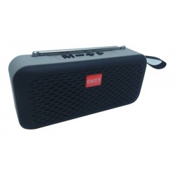 Parlante Mini Bluetooth Portable Okcy Inalambrico C1