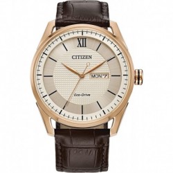 Reloj AW0082 01A Citizen Men's Classic Stainless Steel Eco Drive Watch Leather Strap, Brown, 22 Model
