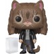 Figura HARRY POTTER Hermione Granger as Cat Funko Pop! Vinyl Figure Bundled Compatible Pop Box Protector Case