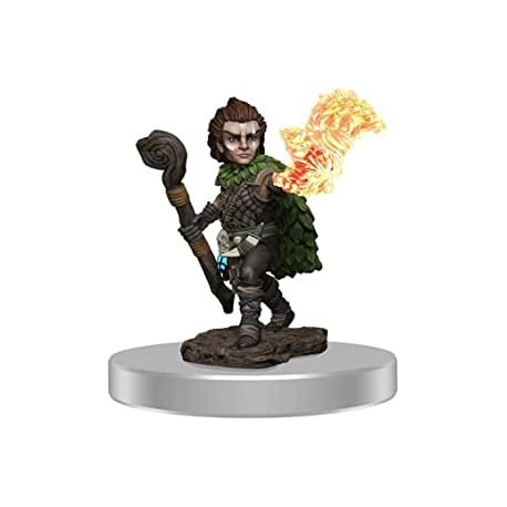 Figura NECA Pathfinder Battles Premium Painted Figure W3 Male Gnome Druid