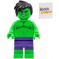 LEGO Superheroes The Incredible Hulk Minifigure