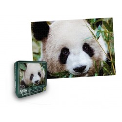 Rompecabezas X 1000 Piezas Lata Oso Panda