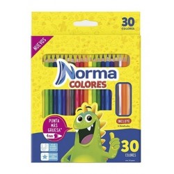 Colores Norma Largos *30