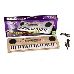 Piano Teclado Organeta 49 Teclas Microfono Usb Mp3 Karaoke