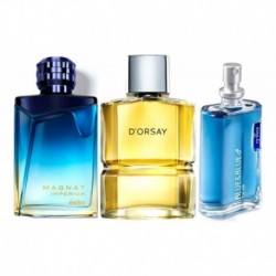 Dorsay + Magnat Imperium + Blue & Blue