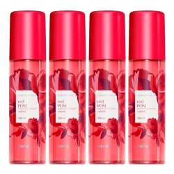 4 Splash Colors Nature Red Rose