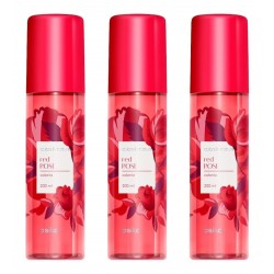 3 Splash Colors Nature Red Rose