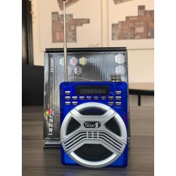 Amplificador Portatil Microfono Radio Fm