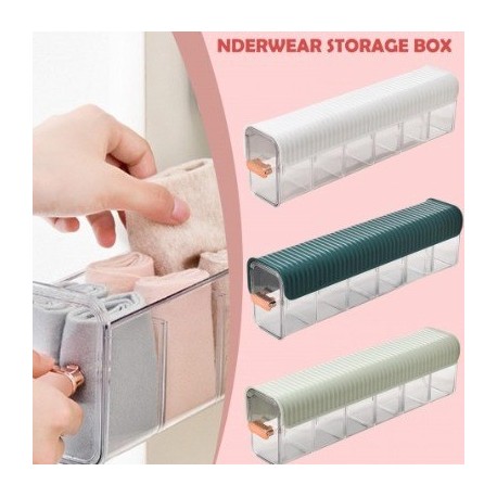 Organizador De Ropa Interior Caja De Almacenamiento