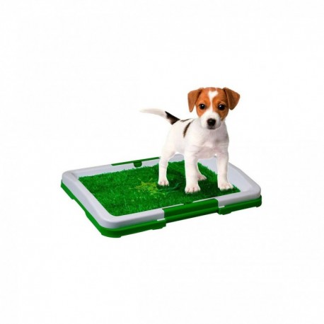 Tapete Entrenador Mascotas Lavable