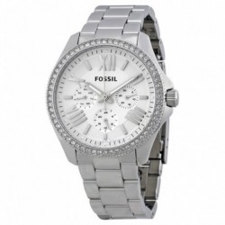 Reloj FOSSIL AM4481 Original