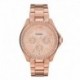 Reloj FOSSIL AM4483 Original