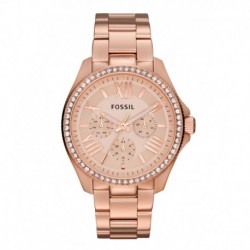 Reloj FOSSIL AM4483 Original