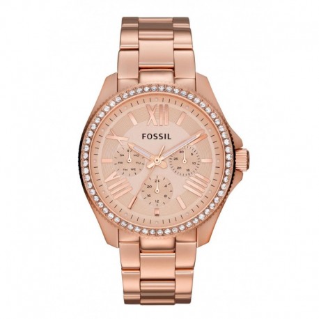 Reloj FOSSIL AM4483 Original