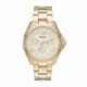 Reloj FOSSIL AM4510 Original