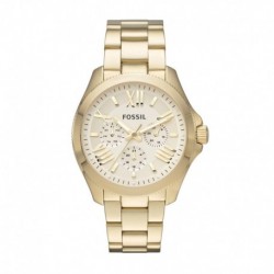 Reloj FOSSIL AM4510 Original