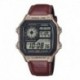 Reloj CASIO AE-1200WHL-5A Original