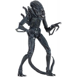 Figura NECA Alien 7" Scale Action Figures Ultimate Warrior 1 (Importación USA)