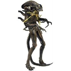 Figura NECA Aliens 7" scale action figure Series 12 Xenomorp (Importación USA)