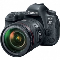 Cámara Digital Canon EOS 6D Mark II DSLR EF 24-105mm USM Len (Importación USA)