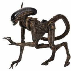 Figura NECA Aliens Alien 3 Dog Ultimate 7IN Action F (Importación USA)