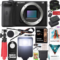 Camara Sony a6600 Mirrorless Camera 4K APS-C Body Only (Importación USA)
