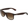Sunglasses Ray-Ban RB4202 Andy Matte Brown/Brown Gradient 55mm