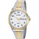 Watch Citizen BF5004-93A Men ' Quartz Stainless Steel Casual Color:Two Tone Model: