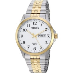 Watch Citizen BF5004-93A Men ' Quartz Stainless Steel Casual Color:Two Tone Model: