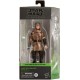 Action Figure Star Wars The Black Series Luke Skywalker Endor Toy 6-Inch Scale Return of Jedi Collectible Kids Ages 4 and Up