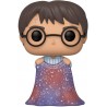 Action Figure Funko Pop! Harry Potter Potter Invisibility Cloak,Multicolor