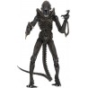Action Figure NECA Alien 7" Scale s Ultimate Warrior 1986 Brown Alien