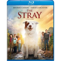 The Stray Blu-ray