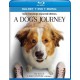 A Dog's Journey Blu-ray